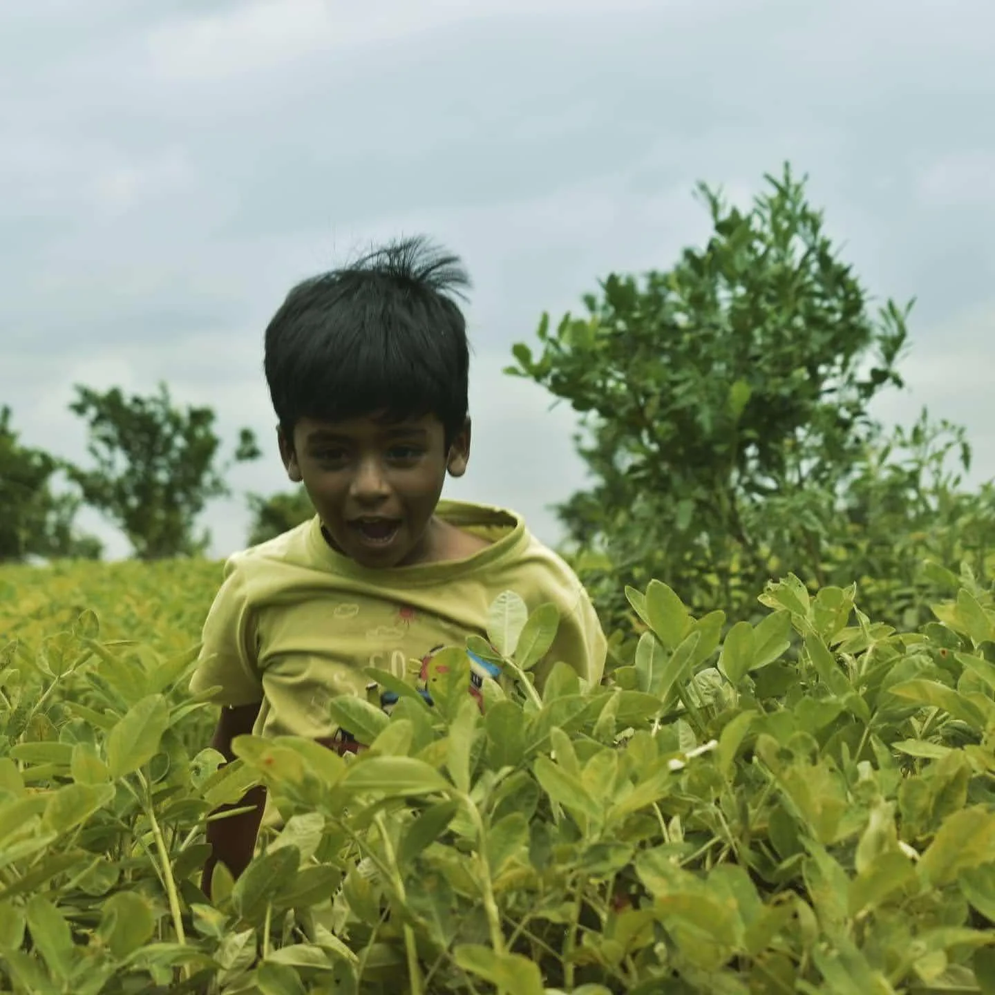 Growing up among the groundnut fields