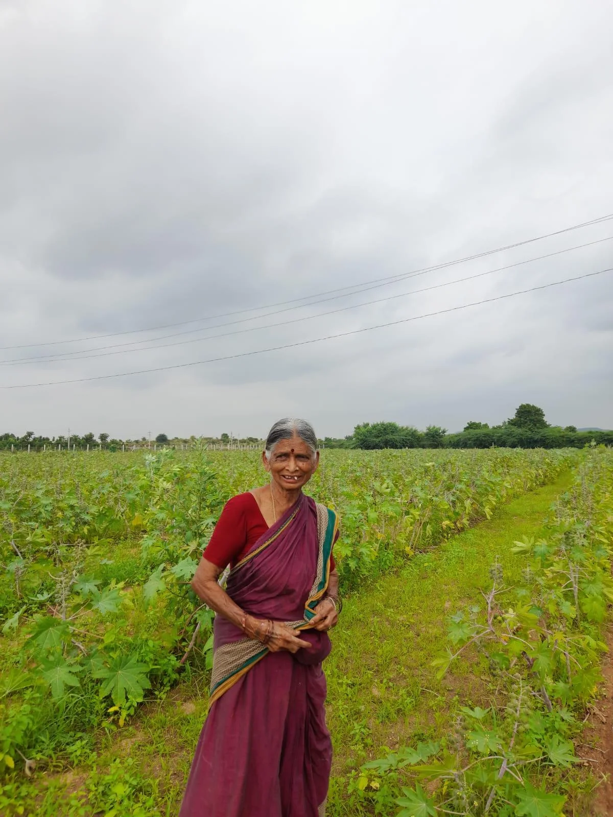 Generations of farming on the same land