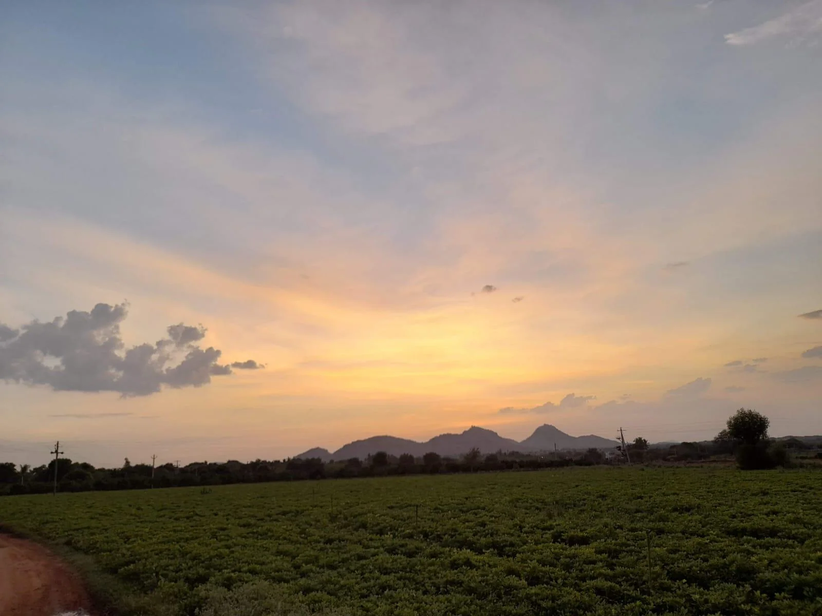 Our fields near Dharmavaram at sunset